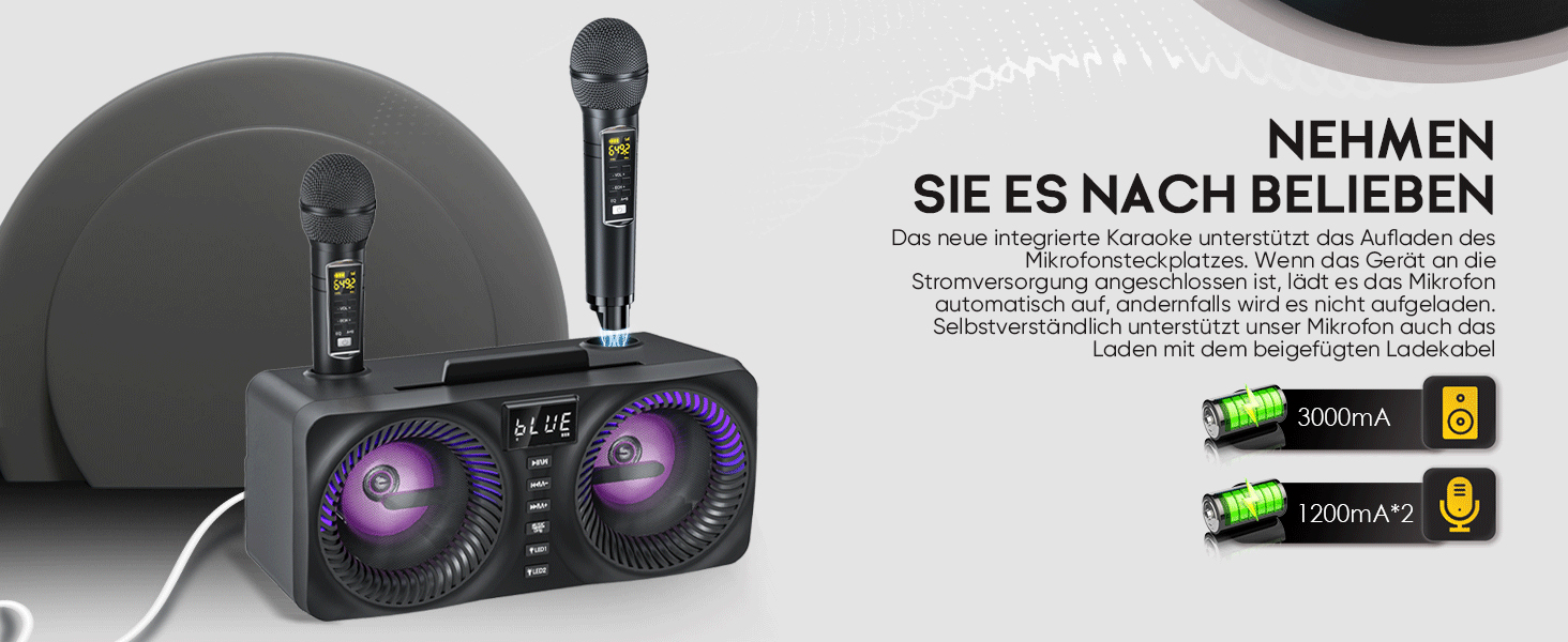 Караоке система All-in-One з Bluetooth, 2 мікрофонами та акустикою 30W, PA система для вечірок (Чорний)