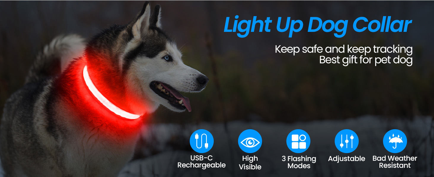 Світлодіодна нашийникова стрічка для собак Masbrill: водонепроникна, з 3 режимами світіння, регульована, для малих, середніх та великих собак, фіолетовий - S