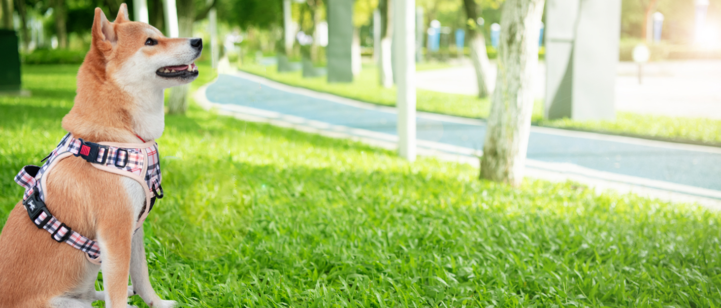 Шлейка для собак PoyPet без натягу, світловідбиваюча, регульована, м'яка, для маленьких собак (Tumalo Teal, S)