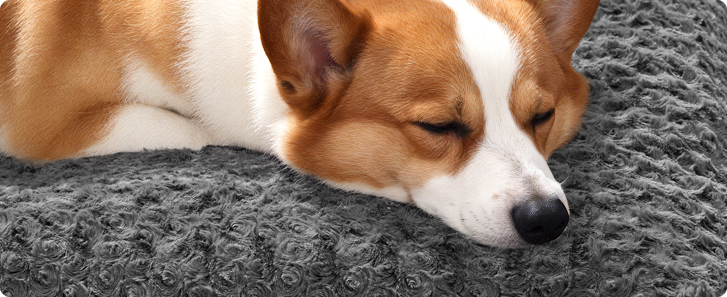 Ліжко для собак Feandrea XL, м'яка підстилка для великих собак, 110 x 73 см, сірий колір, PGW293GN01