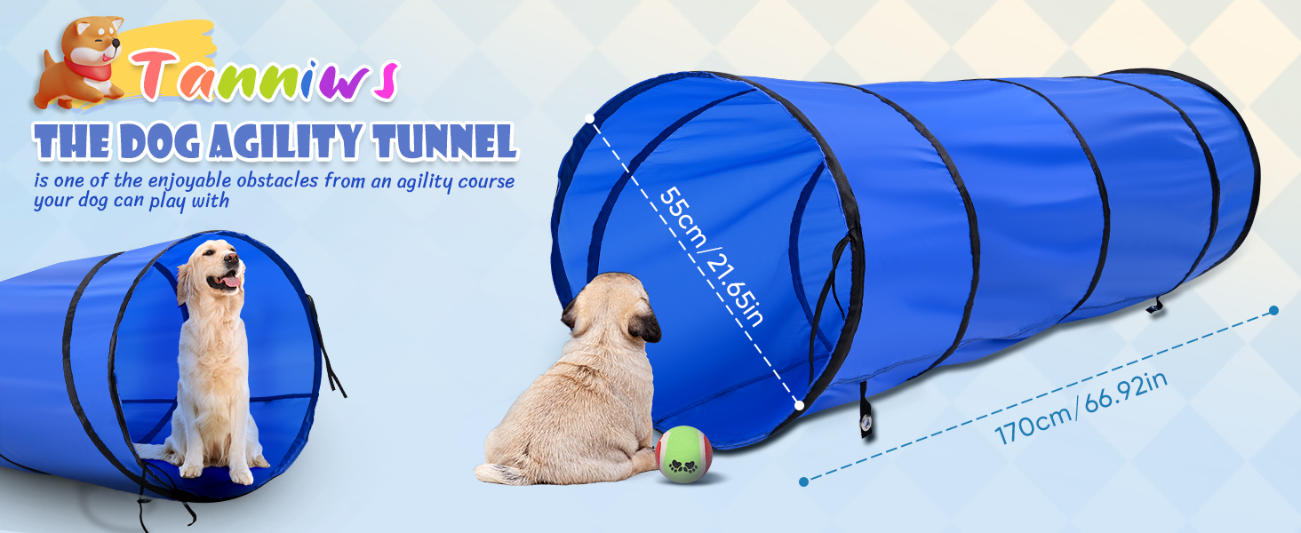 Набір для аджиліті для собак 70 елементів: 8 шлагбаумів, стрибкова петля, м'яч, ящик для перерви, сумка для ласощів, переносна сумка. Розвиває інтелект.