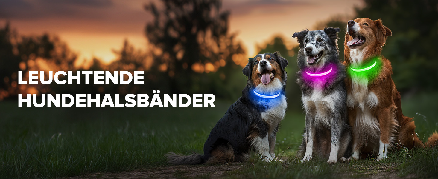 Світлодіодне нашийник для собак Leuchthalsband PcEoTllar, водонепроникний, 7 кольорів, регульований, для маленьких та великих собак, 8 режимів, синій, L (48-60 см)