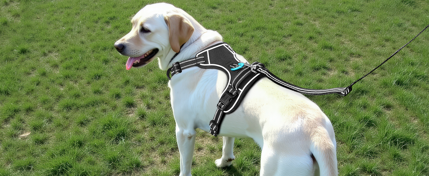 Шлейка для собак HEELE, No-Pull, для середніх собак, м'яка, дихаюча, регульована, світловідбиваюча, з м'яким ручним захопленням, чорна, розмір L