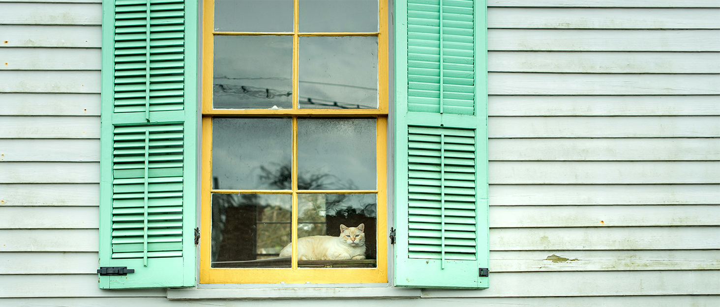 Кішка ліжко на вікно, гамак для котів на вікно, зручне ліжко-гамак для котів, міцне та легке в установці, до 18 кг