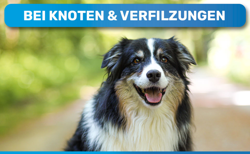 Феллентвіррер BluePet для довгошерстих собак та котів: щітка-розпушувач з двома рядами пінів. Розплутує, видаляє підшерстя та розгладжує довге волосся. Версія 1.0, блакитна