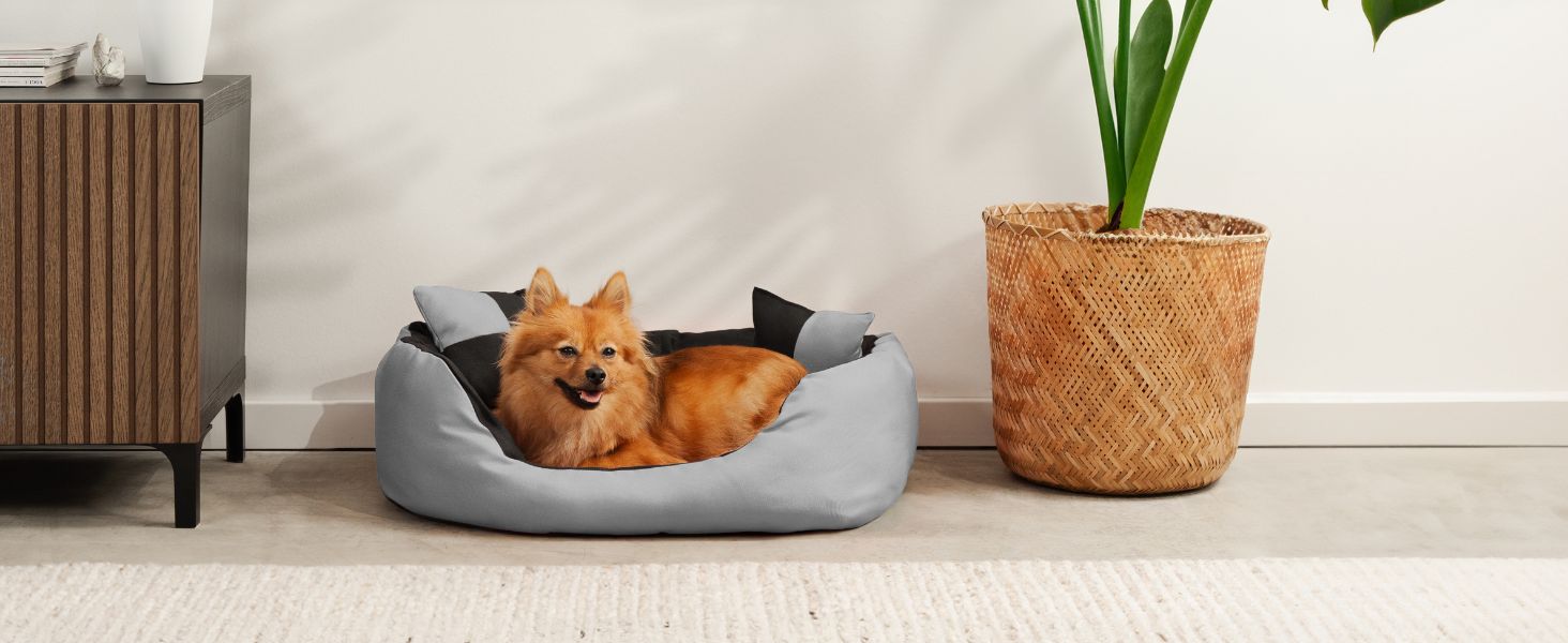 Кіжувалля для собак Lionto 4-в-1 з двостороннім подушкою з міцного оксфорду, 65x50 см, для котів та собак усіх розмірів, з глибоким входом, включає декоративну подушку, водовідштовхувальне, коричнево-бежеве