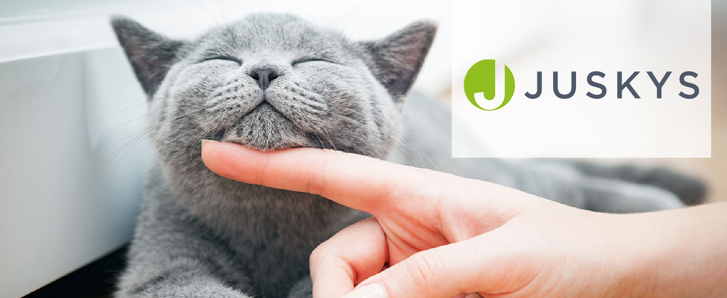 Дерево для котів Juskys Amy XXL з печерами, лежанками, сходами та сизалевими стовпчиками - стабільний котячий комплекс 170 см, сірий/темно-сірий