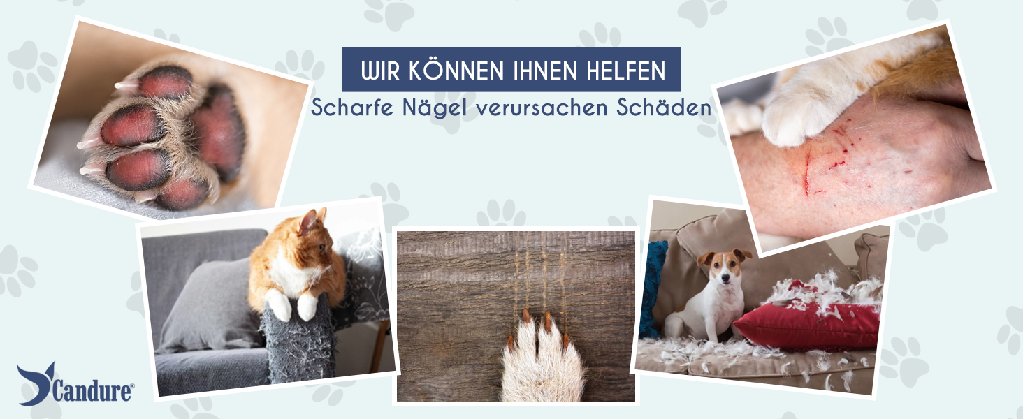 Професійні ножиці для стрижки кігтів собак і котів Candure з пилочкою, нержавіюча сталь, стрижень для кігтів, висока якість, догляд за кігтями, інструмент для тварин, великий розмір, з захистом, 15 см, для всіх порід, темно-синій