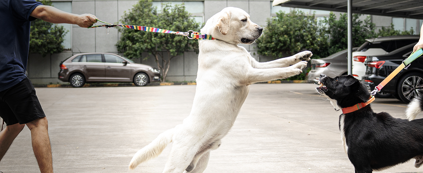 Преміум нашийник для собак TSPRO з ручкою, тактичний, міцний, з металевою застібкою, для середніх та великих собак (червоний L), розмір ручки L (регульований 44.5-62.2 см)
