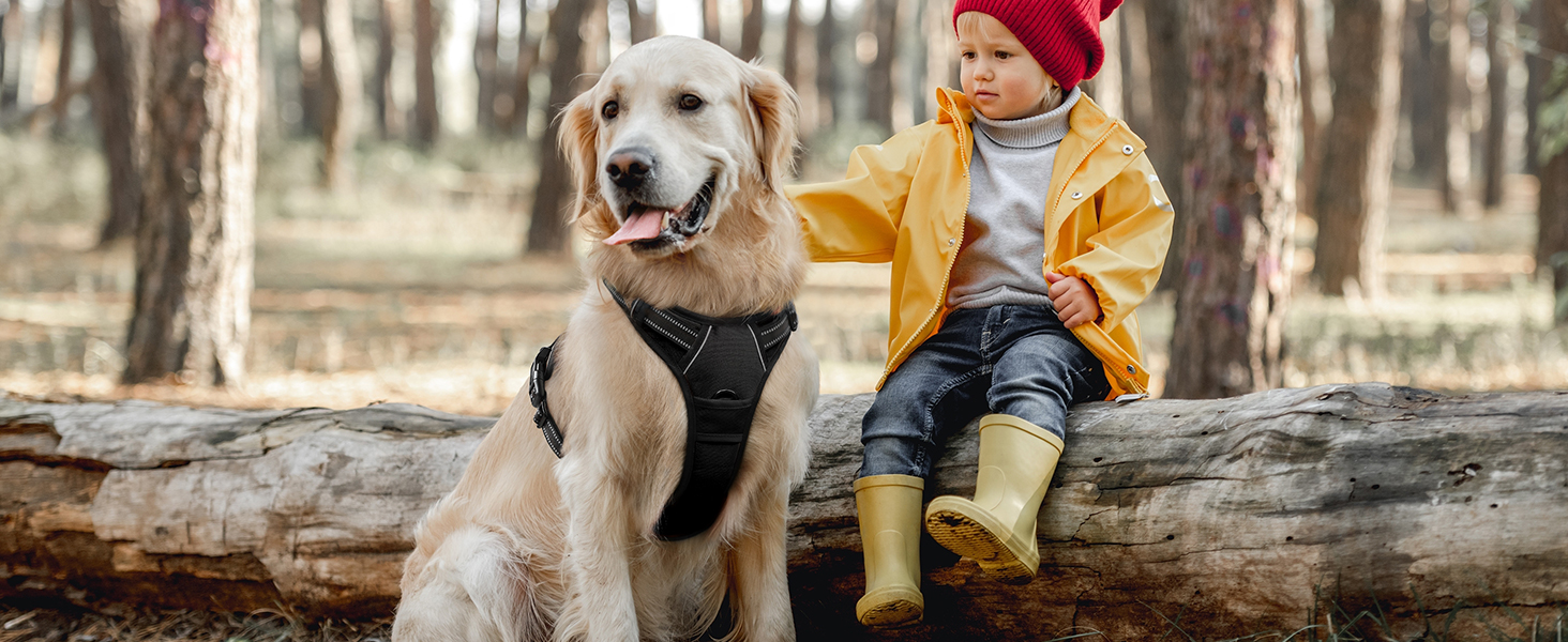Нагрудник для собак великих порід Eagloo, чорний, розмір L, анти-тяга, з відбиваючими смугами, регульований