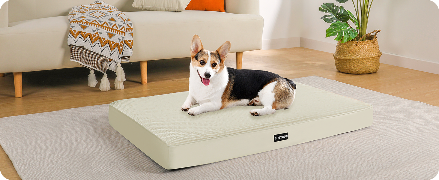 Ортопедичний лежак для собак, 112 см, оливковий колір. Знімний, водонепроникний, з антиковзким покриттям. Підходить для середніх та великих собак. Розміри: 91x56x9 см