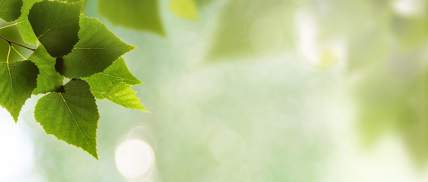 Мультитул RAXCO 18-в-1: компактний інструмент для виживання на природі (затискач, ніж, відкривачка, викрутка) для полювання та риболовлі, чорний