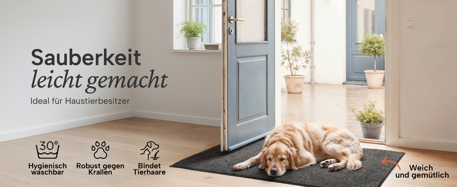 Килимок вхідний Blumtal 50x80 см, мікрофібра, протиковзний вологостійкий килим для бруду бежевий