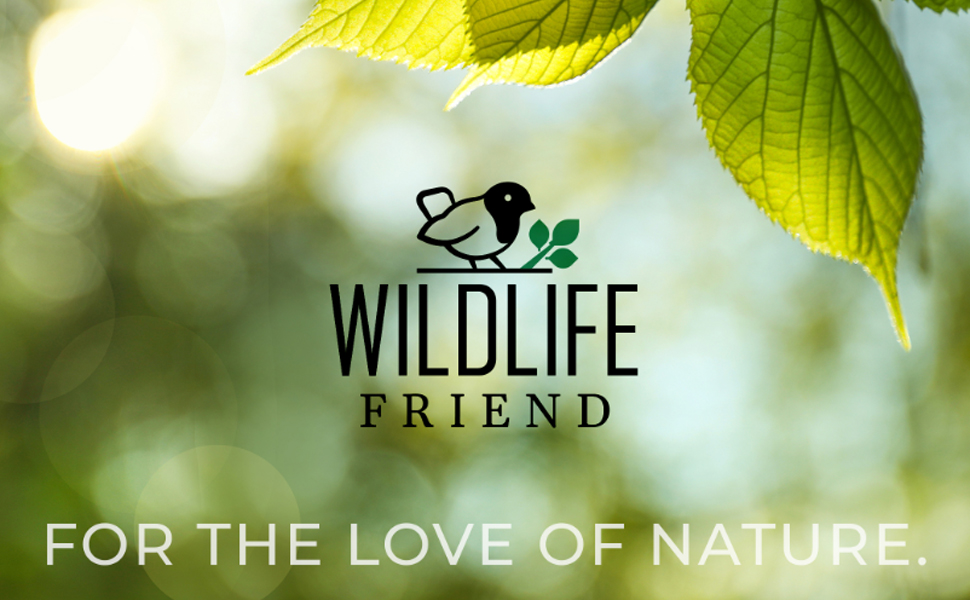 Інсектний готель WILDLIFE FRIEND з корою, 28x29,5x9 см – бджолиний будиночок з бамбуковими трубочками, нішами для комах і метеликів, для саду та балкону, малий, водостійкий