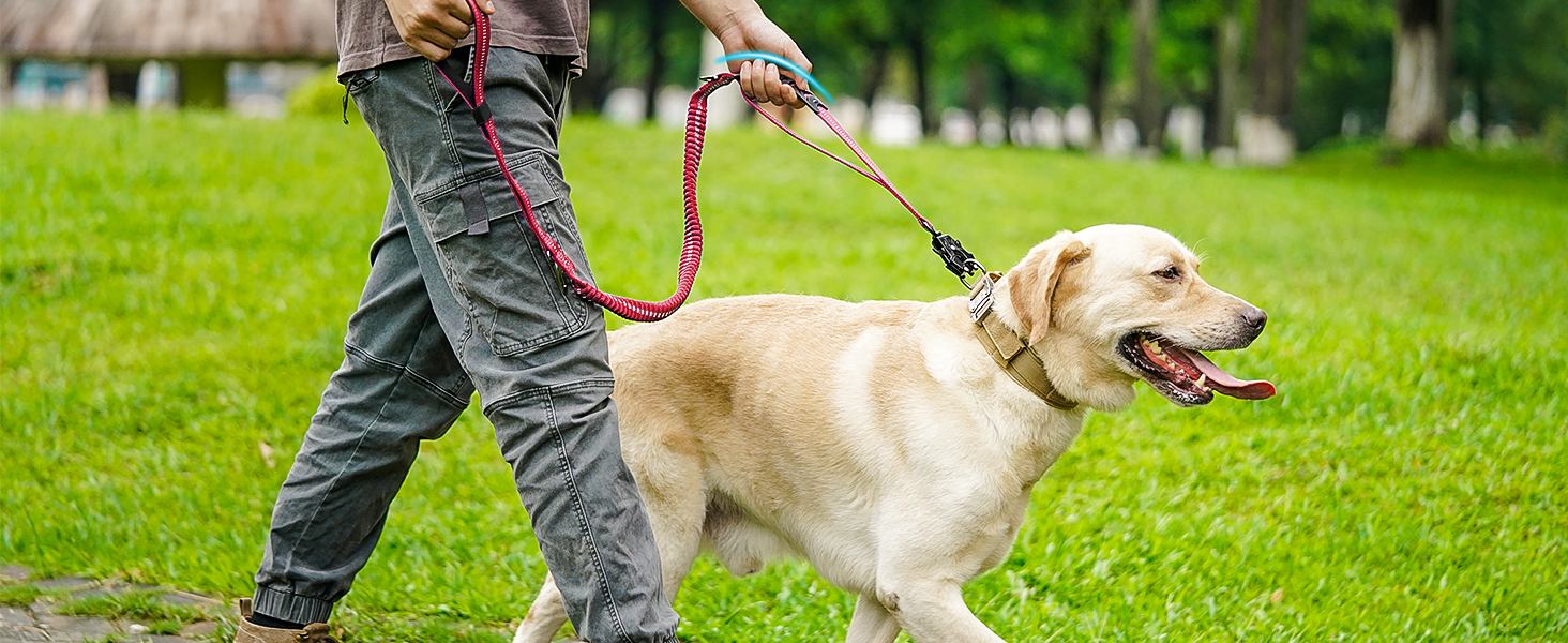 Тактична повідок для собак Joytale, еластична повідок з 2 м'якими ручками, страхувальний ремінь для авто, повідок без ривка для середніх, великих та екстра-великих собак (1.2м-1.8м, світиться рожева)