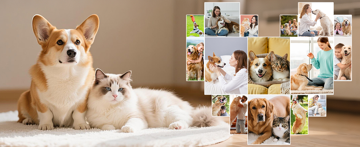 Набір для стрижки собак 4 в 1 Ninonly: тиха, акумуляторна машинка для собак та котів з 4 насадками для тіла, лап, очей та вух. Тример для лап. Чорний колір.