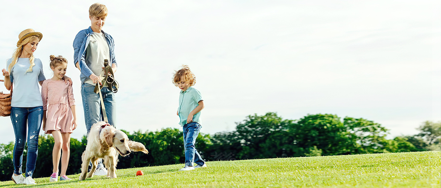 Переноска для тварин ALLSOPETS з колесами для котів та собак, схвалена для авіаперельотів, з висувним ручками, знімними колесами та плечовим ременем, сіра