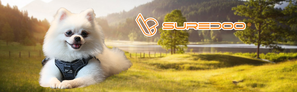 Шлейка для собак середніх та маленьких порід, цуценят, анти-тяга, безпечна, світловідбиваюча, м'яка, регульована (S, блакитна)