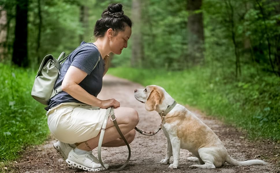 Нашийник для собак ZWEI Leo LE10 з екошкіри, регульований, 28-38 см, різні кольори