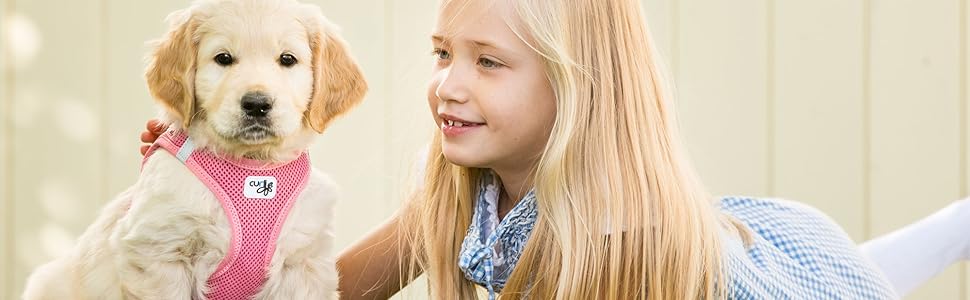 Шлейка для собак curli Clasp Air-Mesh рожева з кругами XS та поводок M