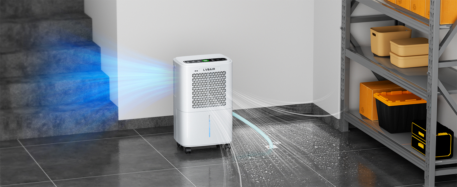 Електричний осушувач повітря 12л/день для 25м²/122м³ – потужне осушення, бак 2л, постійний дренаж, тиха робота, для спальні, підвалу, вітальні