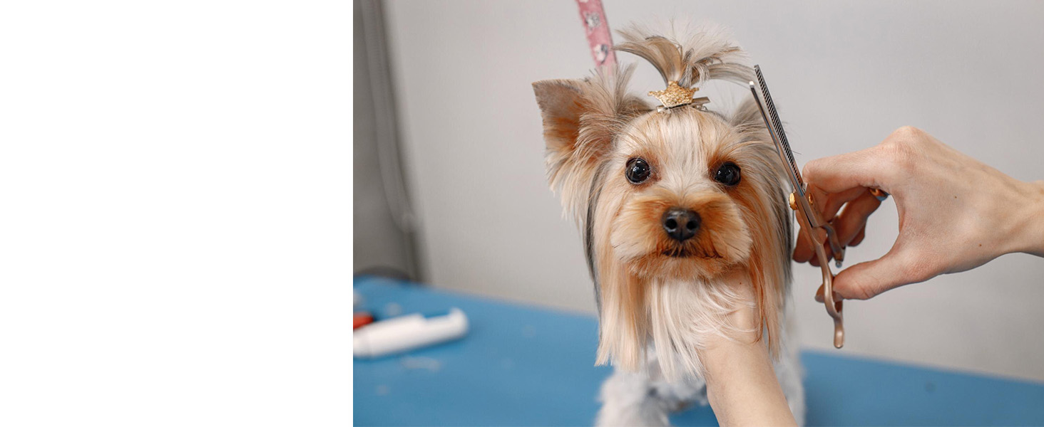 Професійна машинка для стрижки шерсті тварин Tierhaar: безшумна, акумуляторна, бездротова, для котів, собак, коней. Комплект професійного грумера