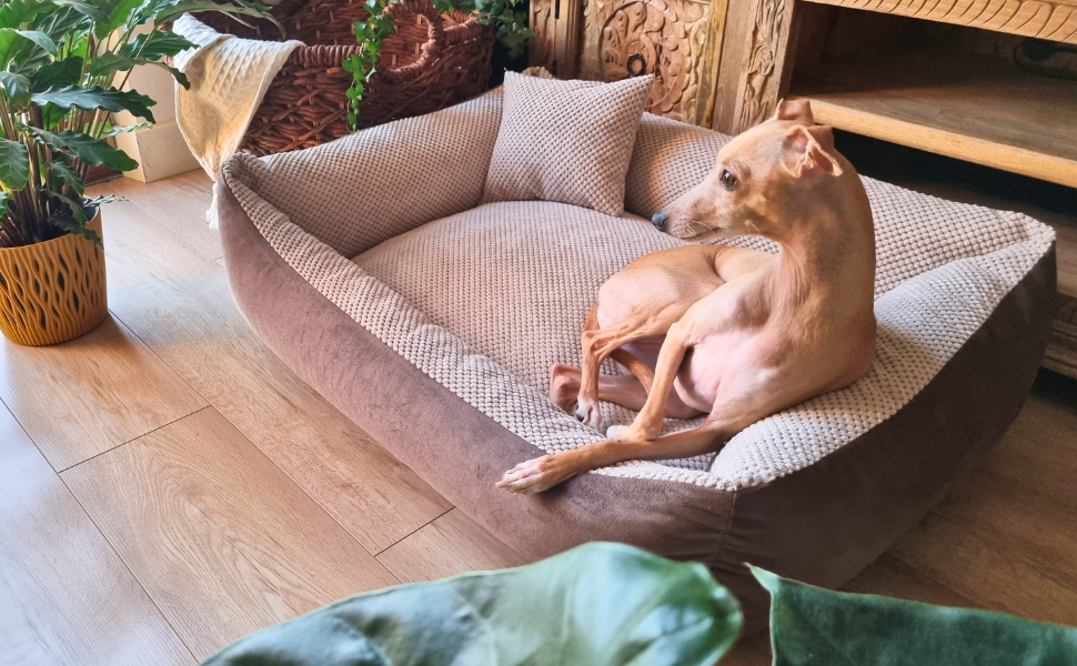 М'яке ліжко для собак 4L Textil Teo, корзина для собак середнього розміру, ліжко-подушка, 60x40 см, бежеве