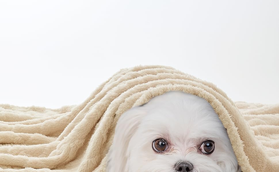 MIULEE Деки для собак 70x100 см, м'яка ковдра для собак та котів, флісова ковдра, легко миється, підходить для собак, котів, морських свинок та інших тварин (Small(40*60cm), Бежевий)