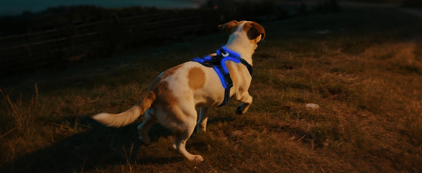 Світловідбиваючий нашийник для собак Joytale з LED, перезаряджуваний, для середніх собак, не тягне, з ручкою, регульований, для нічних прогулянок, чорно-синій, M (1 шт.)