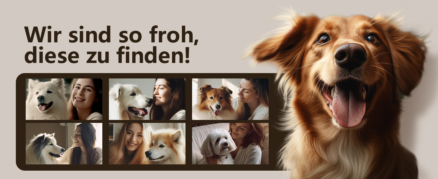 Професійна машинка для стрижки собак Oneisall для густого хутра з основою, електрична машинка для стрижки собак з потужним мотором 6500RPM для густого, довгого та кучерявого хутра, срібна