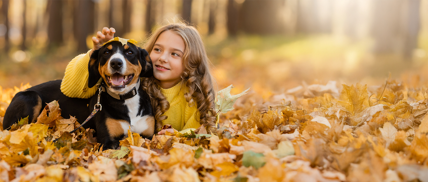 Сходинка для собак, 2 сходинки, 30 см, для маленьких собак та котів, миється, неслизька, сіра