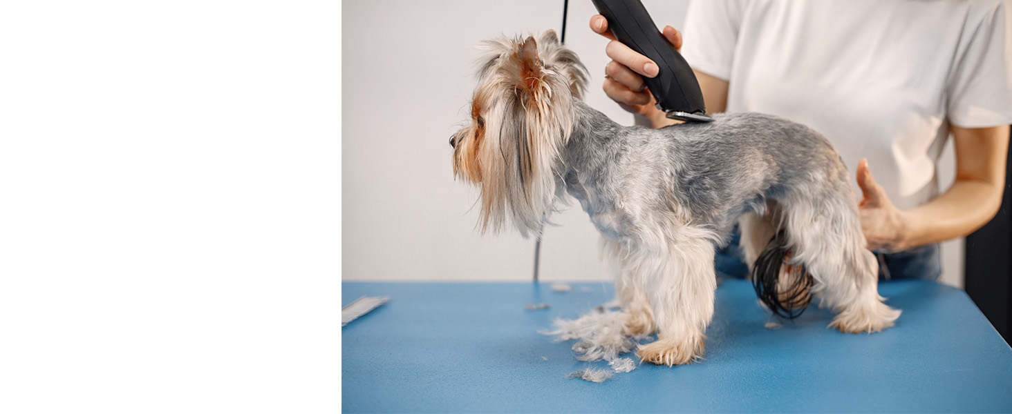 Професійна машинка для стрижки шерсті тварин Tierhaar: безшумна, акумуляторна, бездротова, для котів, собак, коней. Комплект професійного грумера