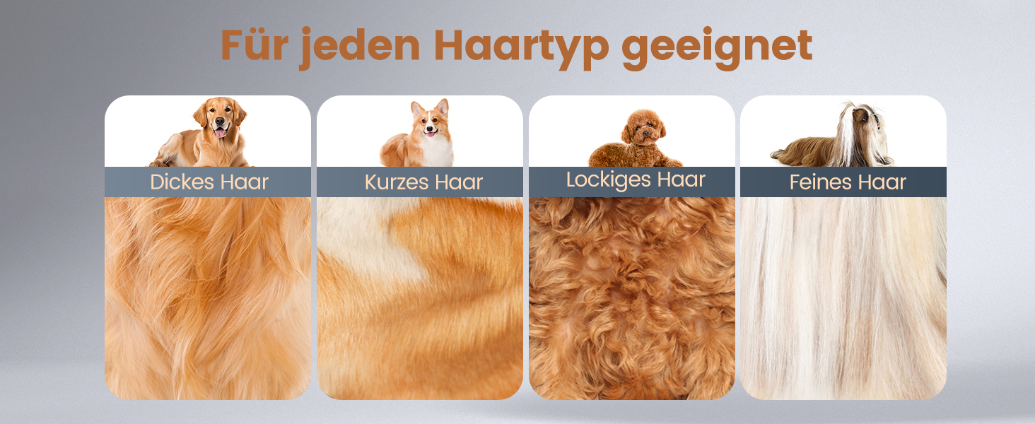 Набір 4 в 1 для стрижки собак: стрижка, триммінг, шліфування кігтів. Підходить для собак та котів. Безшумна модель для грумінгу.