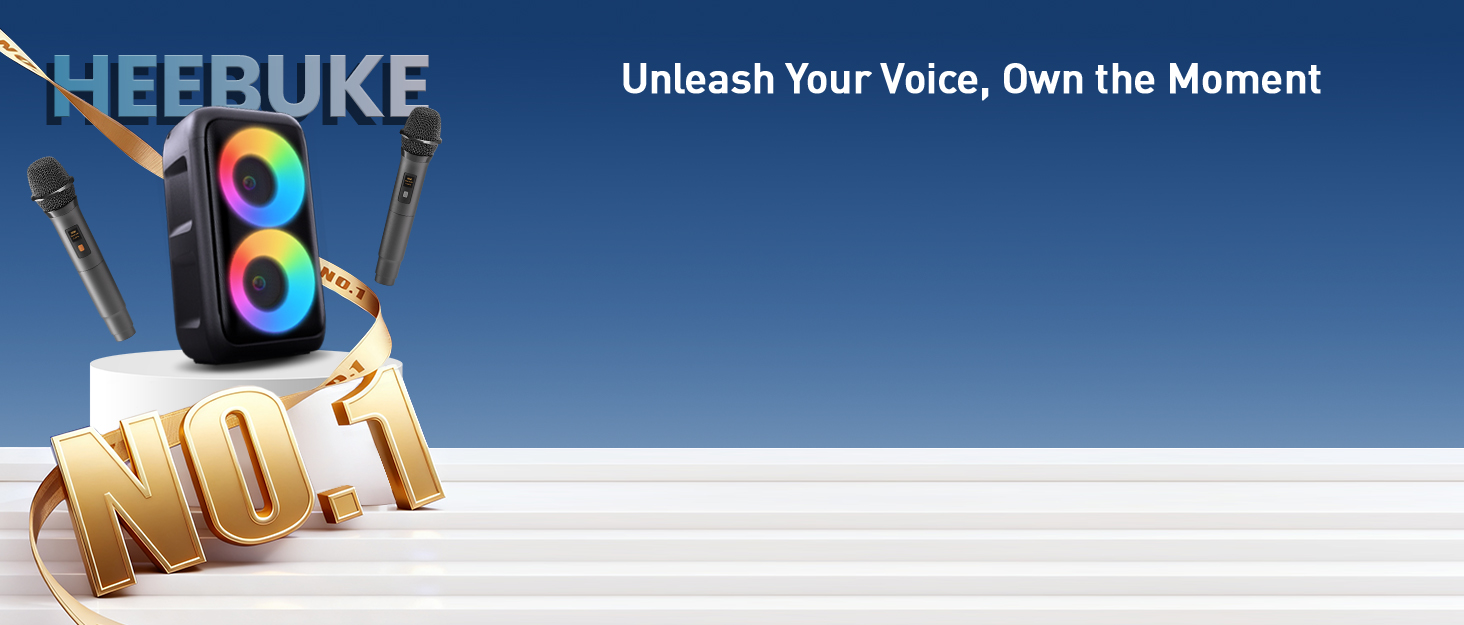 Караоке машина з 2 мікрофонами, портативна Bluetooth колонка з LED-підсвіткою, чорна