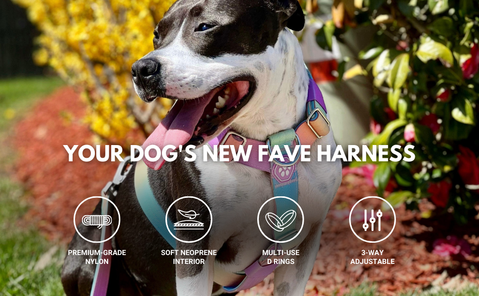 Шлейка для собак Spark Paws No Pull для великих порід, регульована, з фронтальною застібкою, Y-подібна, міцна, розмір L (36-68 кг), колір Пастельний Лавандовий