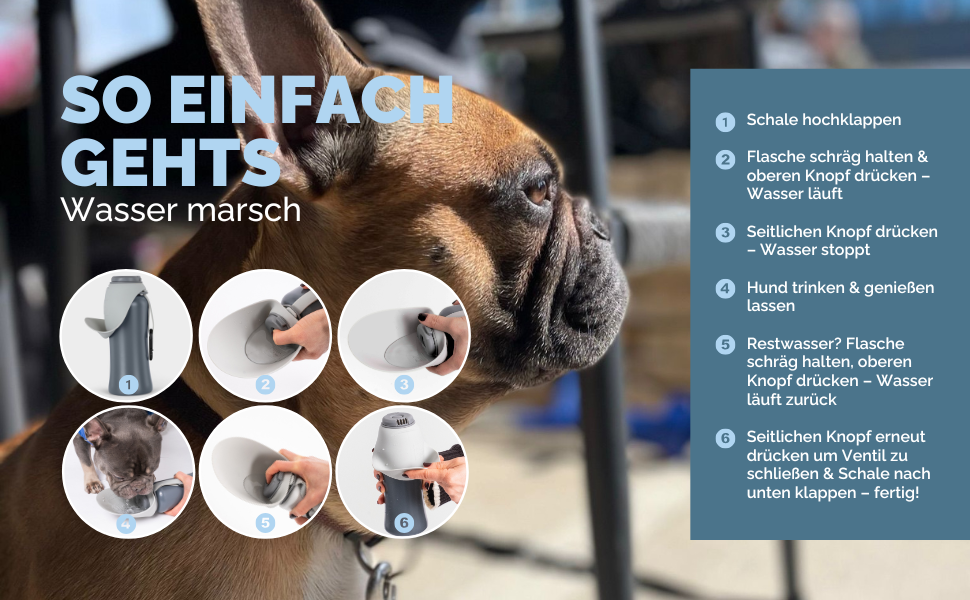 PAW WOW Paula: Водяна пляшка для собак 500 мл - ідеальна для прогулянок | Водяна пляшка для собак | PAW WOW