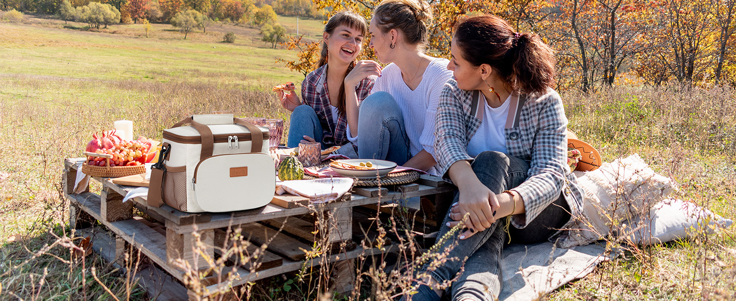 Термосумка LifeWit 15L: компактна, ізольована сумка-холодильник для їжі, напоїв, пікніків та подорожей. Водонепроникна, сіра, для чоловіків та жінок.