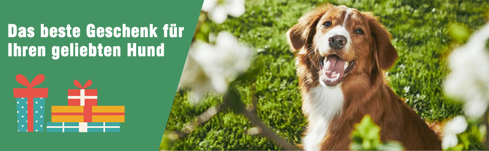 Металевий вольєр для собак та котів Costway 80 см, 8-секційний, чорний