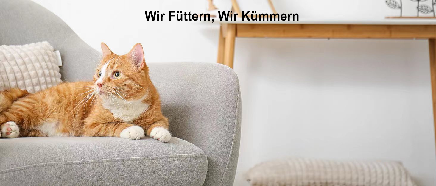Автоматичний дозатор корму для котів та маленьких собак Ownpets з програмуванням, 6 прийомів, з охолодженими акумуляторами, чорний