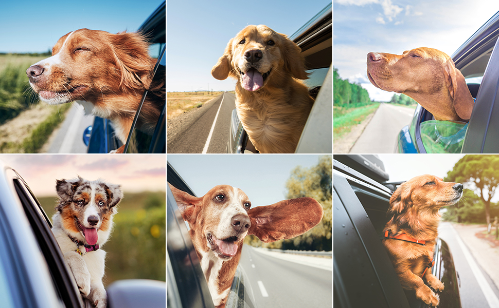 Автокрісло для собак, сіре, велике, з підняттям та кишенями для зберігання, до 25 кг, для великих собак та цуценят