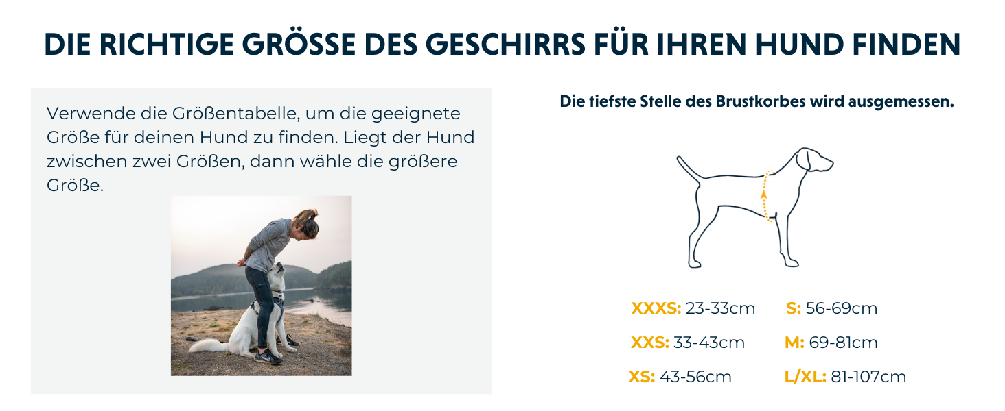 Шлейка для собак Ruffwear Front Range, регульована, з відбиваючими елементами, комфортна, для прогулянок та бігу, 2 точки кріплення, Spring Mountains M