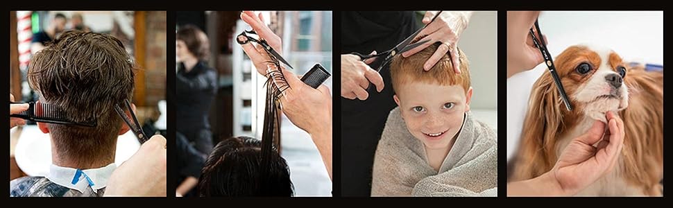 Професійний набір фенів CIICII: фен для волосся та фен для бороди (6,7 дюйми) для чоловіків, жінок та домашнього використання. Чорний та срібний