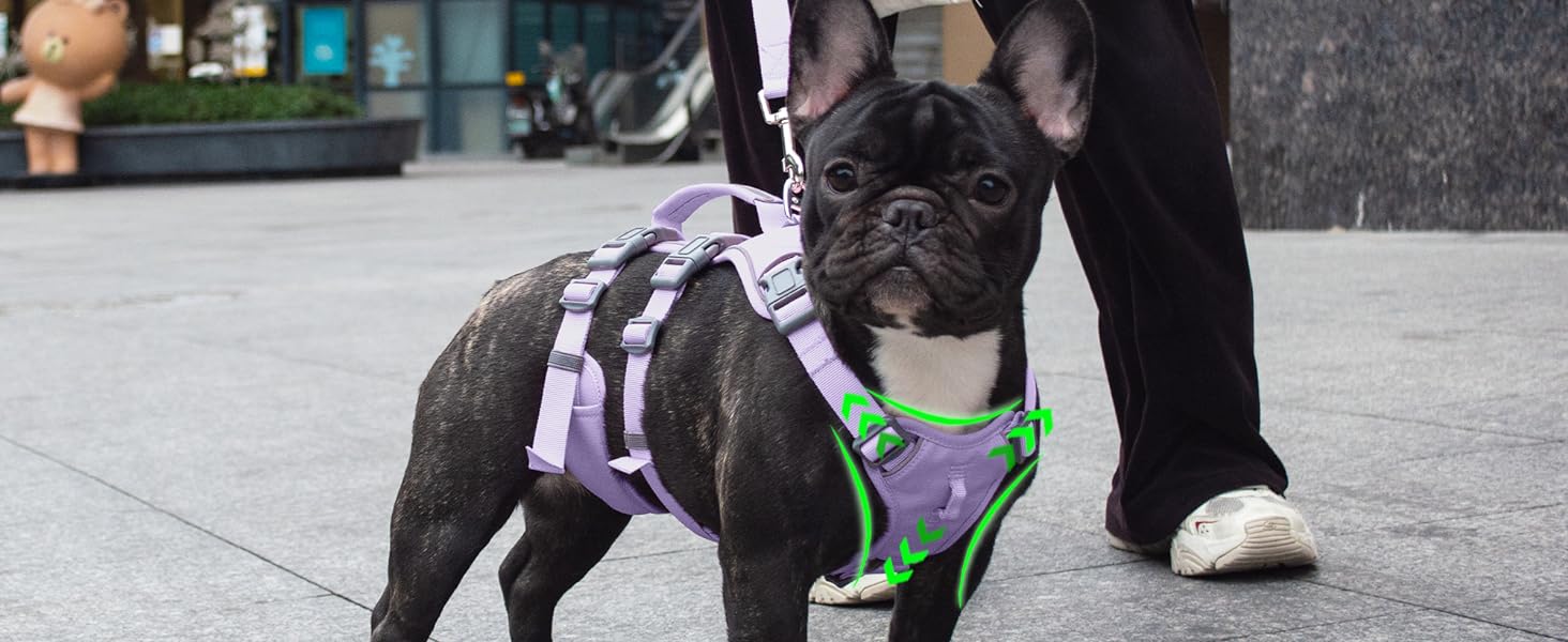 Нашийник для собак з повідком, безпечний нашийник від виривання, анти-тяга, нашийник для собак з ручкою та світловідбиваючими елементами, легкий, регульований, для середніх собак (XS) (Дуже маленький, фіолетовий)