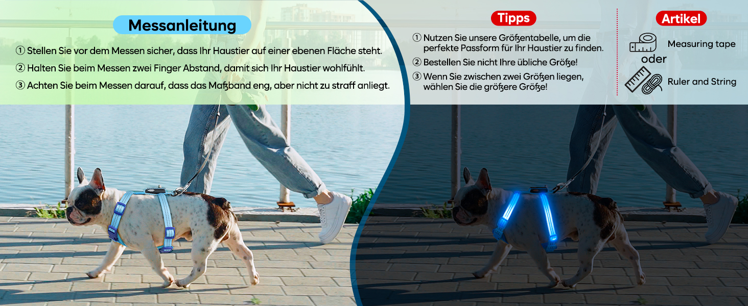 Світловідбиваючий LED нашийник для собак, USB-C, для маленьких собак, XS-S, для прогулянок вночі