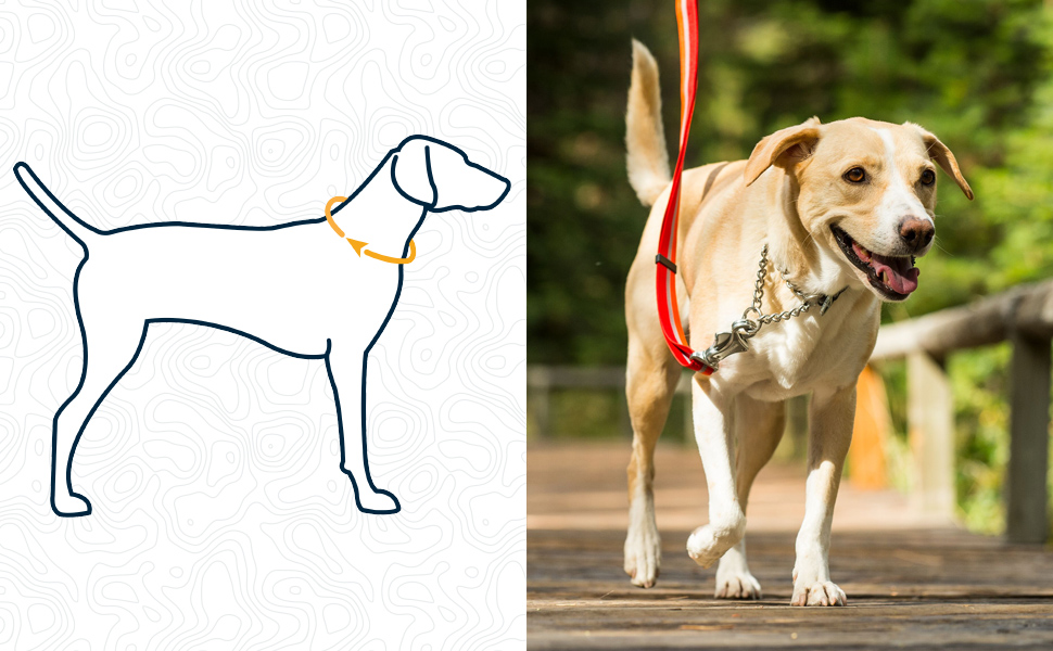 Ruffwear Chain Reaction регульований нашийник для собак, металевий ланцюжок