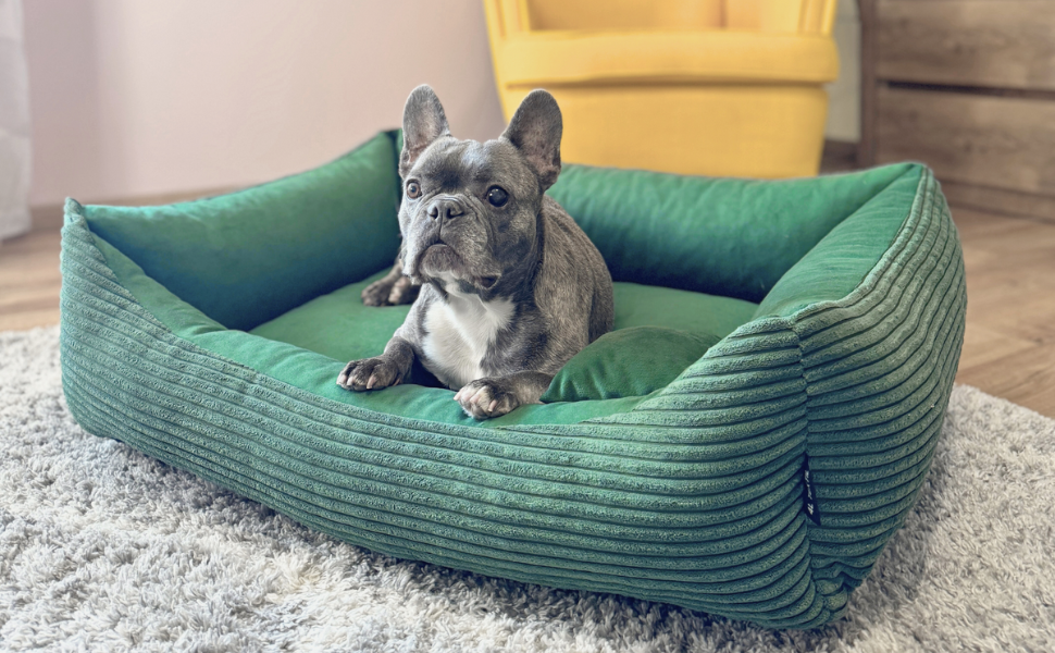 М'яке ліжко для собак 4L Textil Molly, корзина для собак, подушка для собак та котів, корзинка для собак, мохет (60x40 см, зелений)