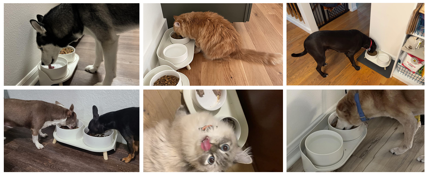 Керамічна миска для собак середніх та великих порід - важка, глибока миска для корму або води - 1800 мл - біла. Миски для собак великих порід