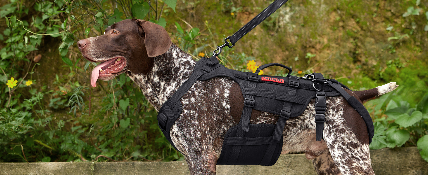 Шлейка для собак OneTigris Invictus, переносна допомога для собак середнього та великого розміру, регульована, 3 ручки, для собак з обмеженими можливостями, травмованих або літніх, чорна, L (27-41 кг, обхват шиї 45-63 см, обхват грудей 68-91 см)