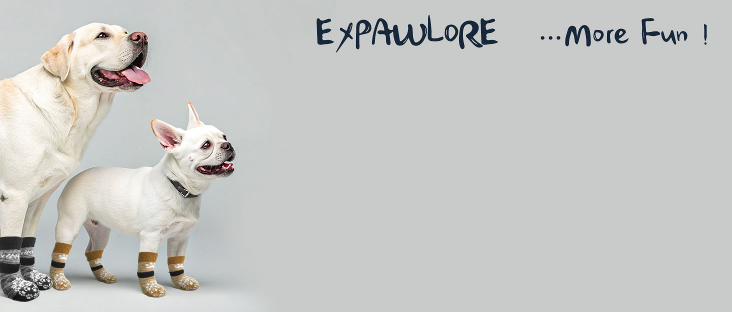 Набір аксесуарів для собак EXPAWLORER: ошийник, повідок та бандана в клітинку. Регульовані, з дзвіночком. Підходить для цуценят та котів, розмір S-M, рожевий.