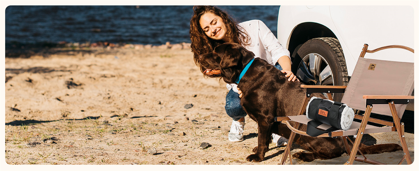 Регульована переносна допомога для собак, переносна лямка для реабілітації, поранених, травмованих або літніх собак - шлейка для собак як засіб допомоги при ходьбі для маленьких і великих собак, сірий колір, XL
